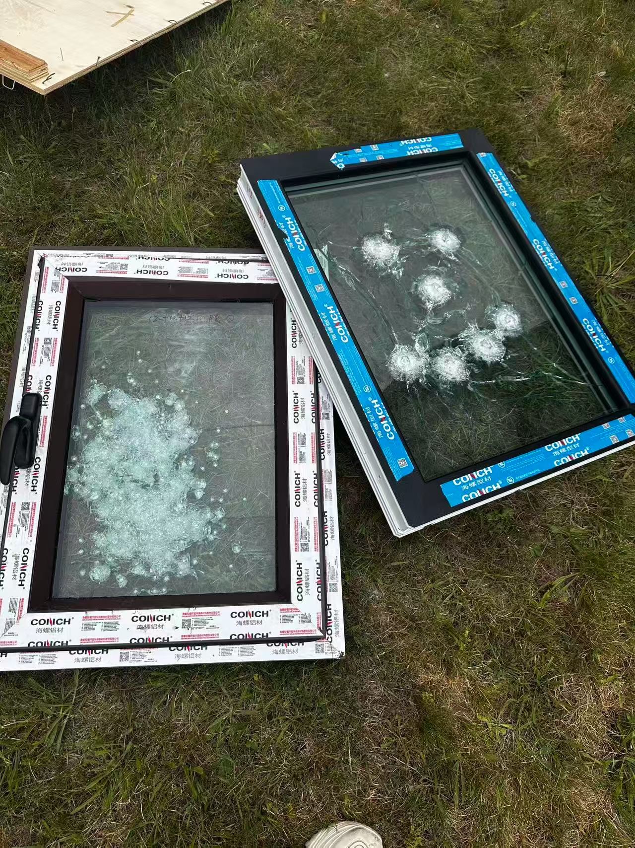 Conch protective glazing samples